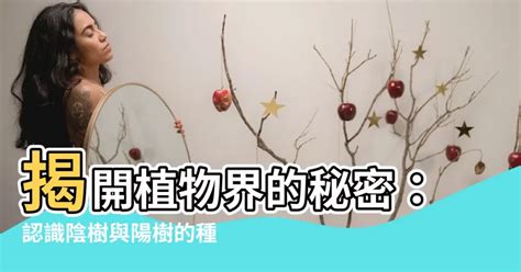 陽樹種類|什麼！樹木也能分陰、陽？這到底是風水還是植物學。